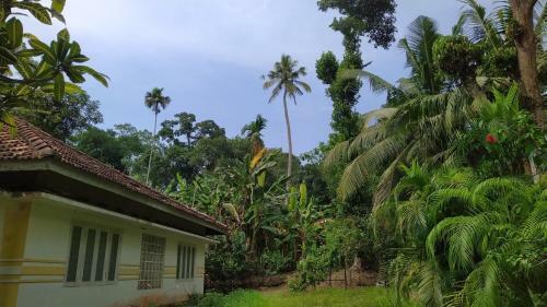 Apartamento Middle House - Ahangama