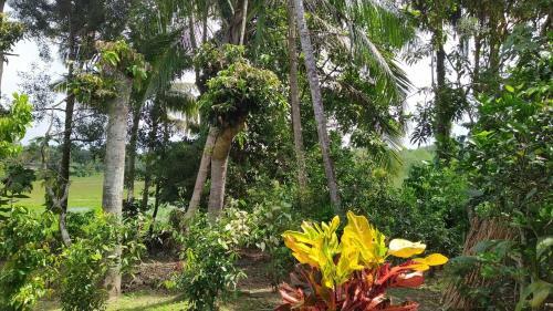 Apartamento Middle House - Ahangama