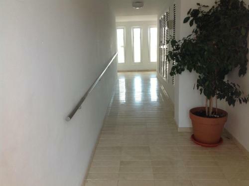 Apartamento Playa Arenal En Javea