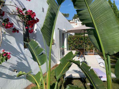 Habitaci�n Con Jard�n Y Terraza En El Tosalet
