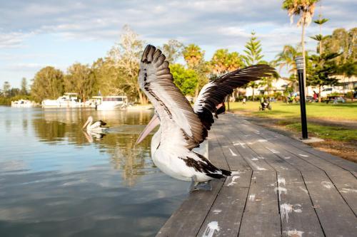 Big4 Forster Tuncurry Great Lakes Holiday Park