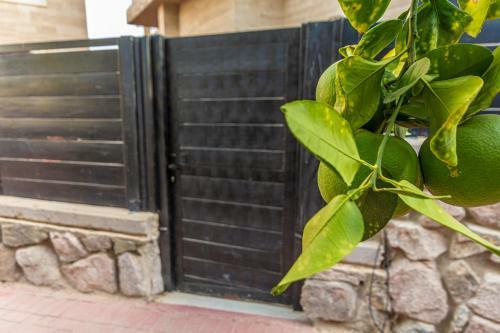 Apartamento ?????? 10 Studio