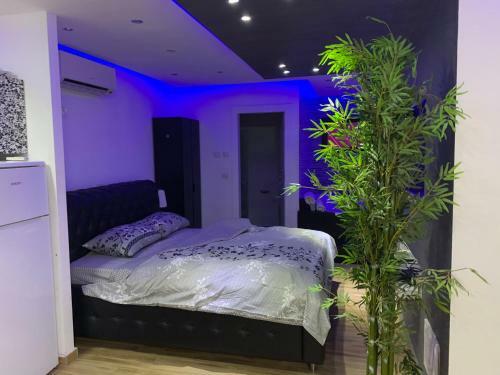 Apartamento ?????? ??????? Diamond