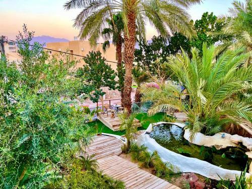 Apartamento Oasis Classic