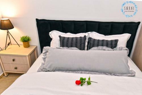Apartamento Shani House Of Style Suite