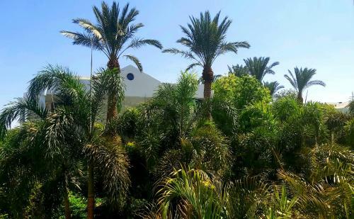 Apartamento Papa Blue Home Pool Terrace And Garden