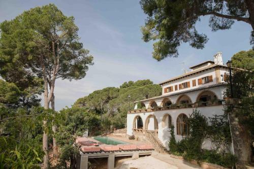 Bed & Breakfast Villa Dora (only Adults)