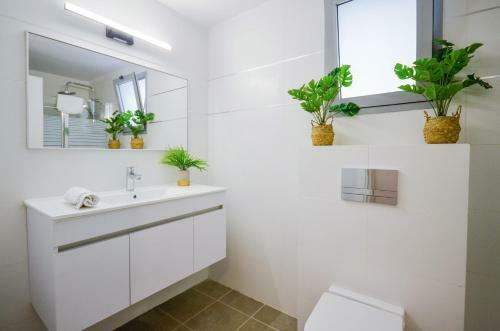 Apartamento Yantoria Morning Star-garden