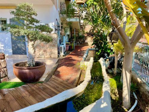 Apartamento Oasis Gallery