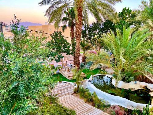 Apartamento Oasis Gallery