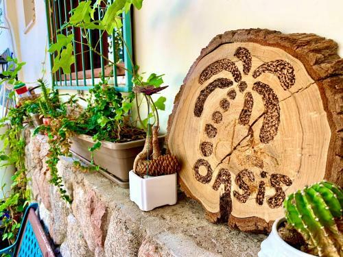 Apartamento Oasis Gallery