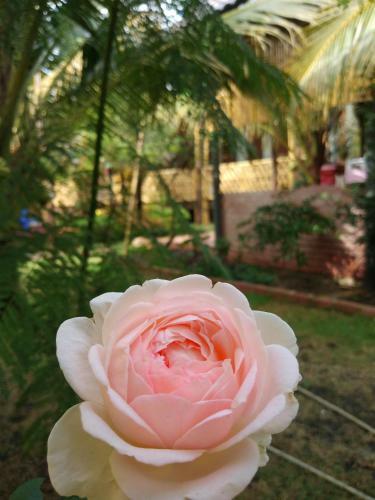 Lodge Carot Homestay Ti?n Giang