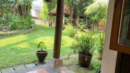 Bed & Breakfast Metina's Tropical Villa