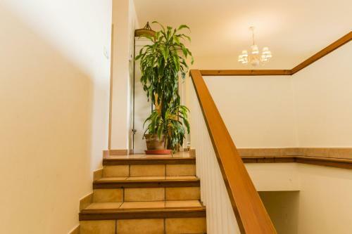 Villa Crown Javea