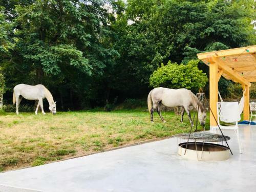 Lodge Finca Briab�