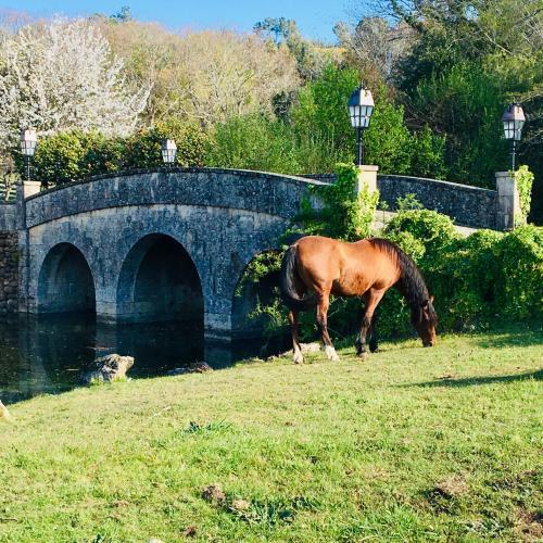 Lodge Finca Briab�