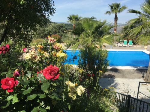 La Casita De Campo
