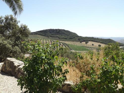 La Casita De Campo