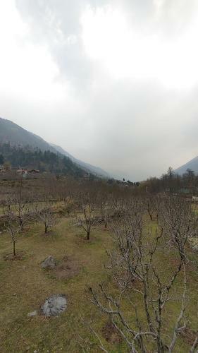 Jugni's Homestay