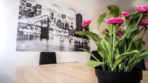 Apartamento Nuevo Con Encanto