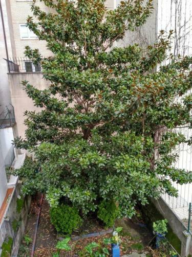 Apartamento Amplio, Luminoso Y C�ntrico Piso