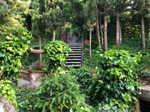 Agroturismo Caba�as De Madera Y Bungalows - Gilma�as 3