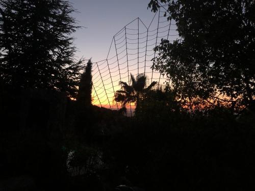 Agroturismo Caba�as De Madera Y Bungalows - Gilma�as 3