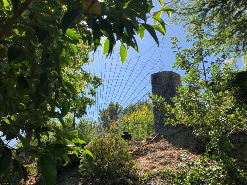 Agroturismo Caba�as De Madera Y Bungalows - Gilma�as 3