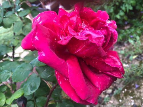 Agroturismo Caba�as De Madera Y Bungalows - Gilma�as 3