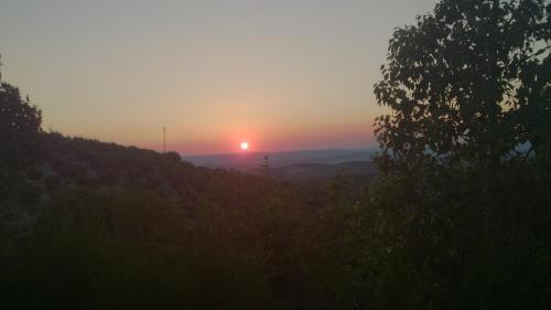 Agroturismo Caba�as De Madera Y Bungalows - Gilma�as 3