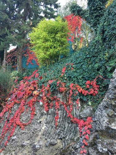 Agroturismo Caba�as De Madera Y Bungalows - Gilma�as 3