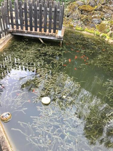 Agroturismo Caba�as De Madera Y Bungalows - Gilma�as 3