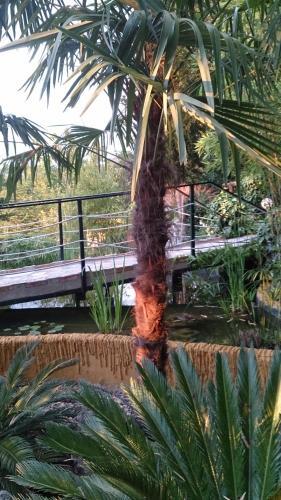 Agroturismo Caba�as De Madera Y Bungalows - Gilma�as 3