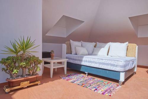 Apartamento Horizonte - Apts Ian Jand�a Sur