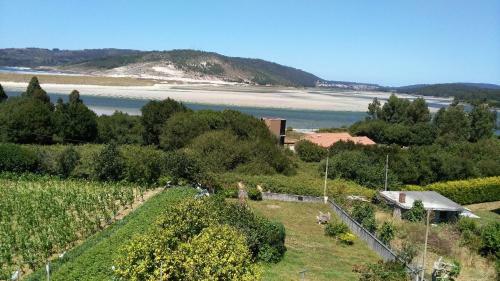 Murmullos Do Mar