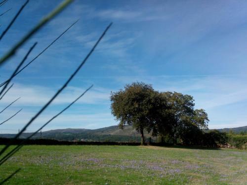 Agroturismo Casa Vixide