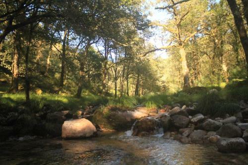O Xard�n Da Fraga