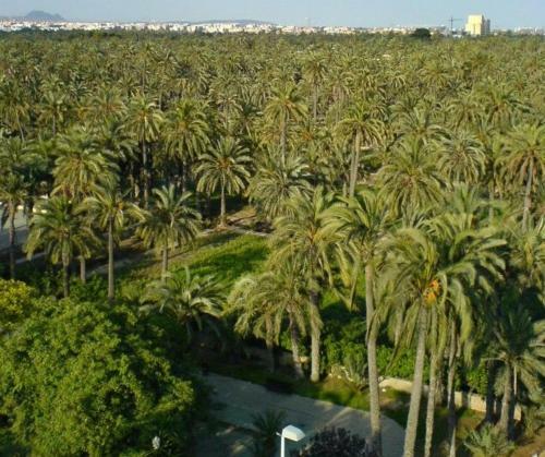 Holiday Apartment La Marina - Elche