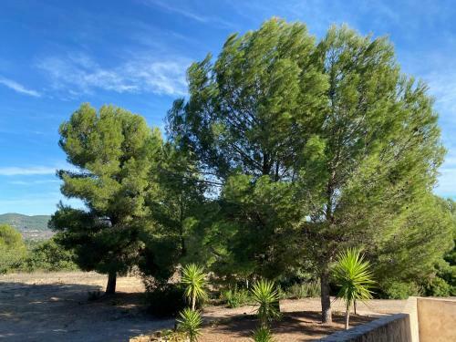 Hotel Restaurante Rural Cau Blanch