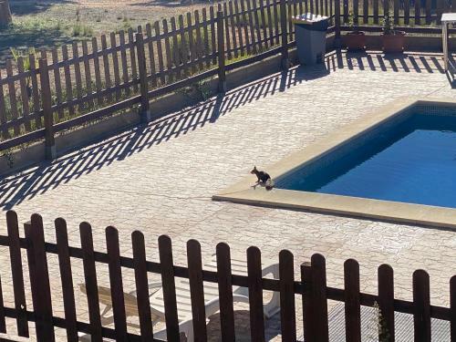 Hotel Restaurante Rural Cau Blanch