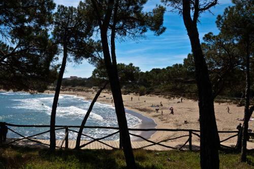 Apartamento Frente Al Mar-wifi Free