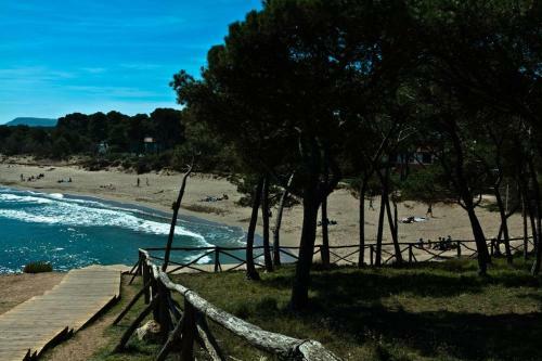 Apartamento Pie De Playa-wifi Free