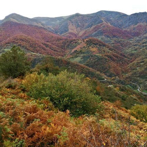 Apartamentos Rurales El Privilegio