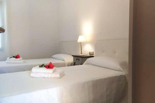 Anahi Homes Corralejo- Dracaena 20