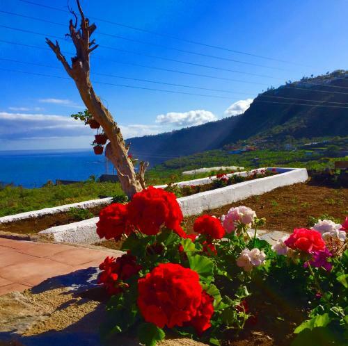 Rinc�n Del Mar , Espacio Natural