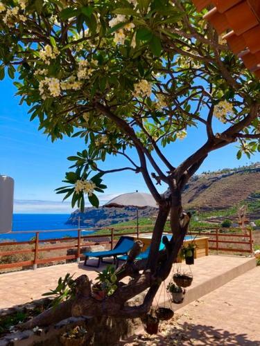 Rinc�n Del Mar , Espacio Natural