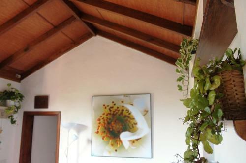 Finca La Plantaci�n _agroturismo