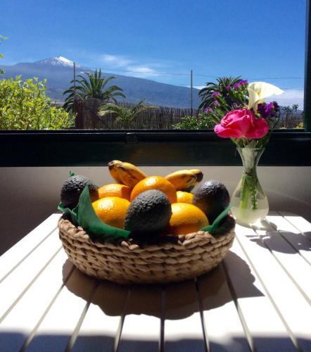 Finca La Plantaci�n _agroturismo