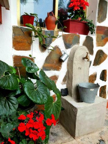 Vivienda Vacacional Ca Na Paula