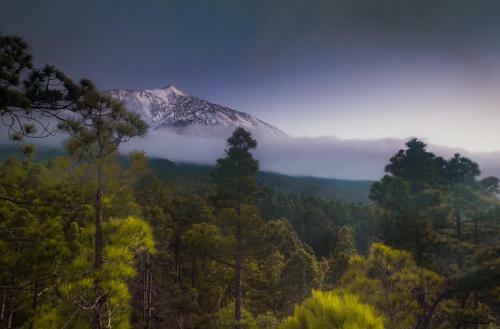 Apartamento Estudio Rural - Nature & Relax